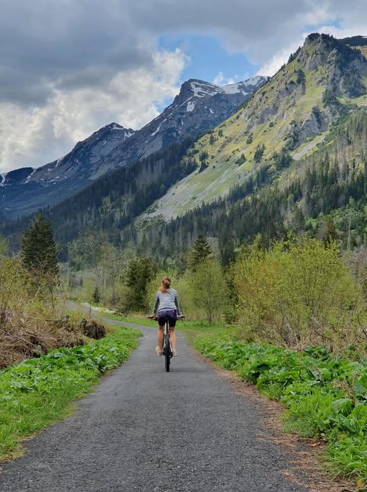 Cycling Bear watching Tour in Slovakia